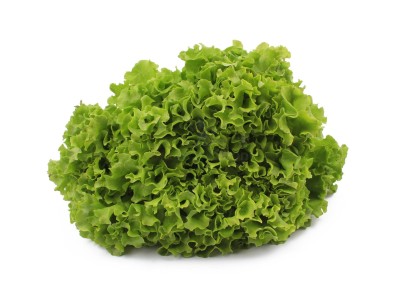 Салат романо 1 кг - купить в Белебее